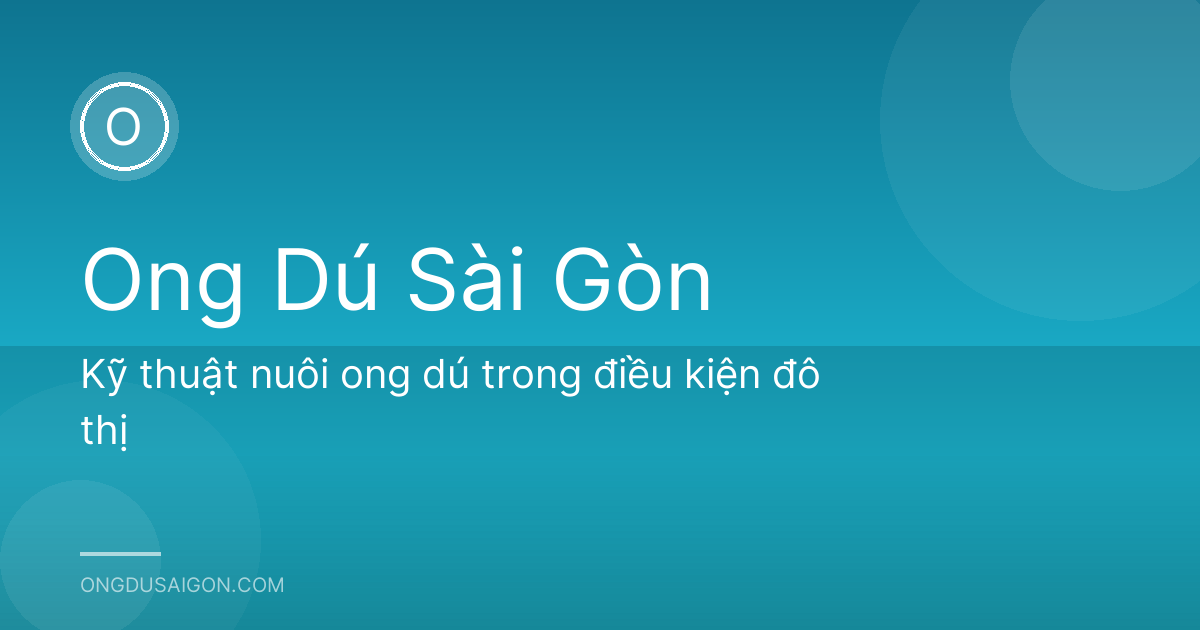 Kỹ thuật nuôi ong dú trong điều kiện đô thị