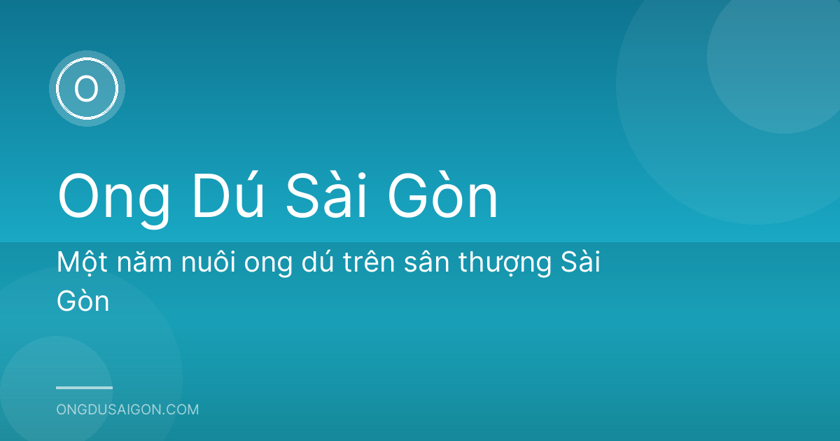 Một năm nuôi ong dú trên sân thượng Sài Gòn
