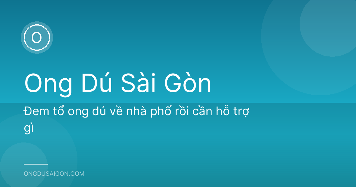 Đem tổ ong dú về nhà phố rồi cần hỗ trợ gì
