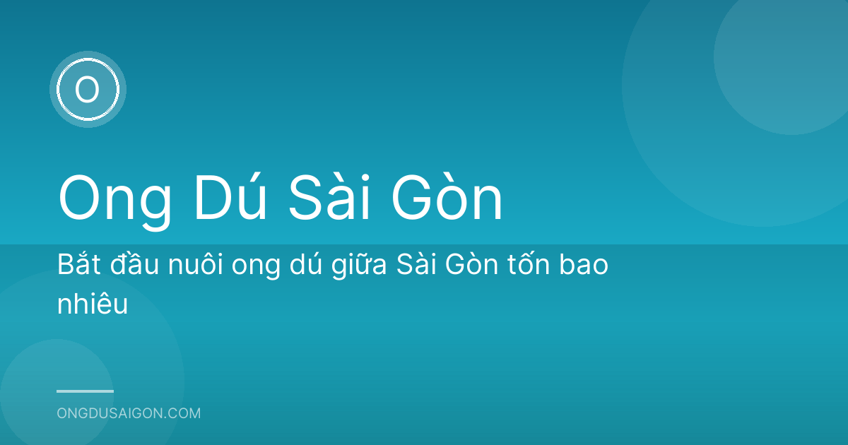 Bắt đầu nuôi ong dú giữa Sài Gòn tốn bao nhiêu