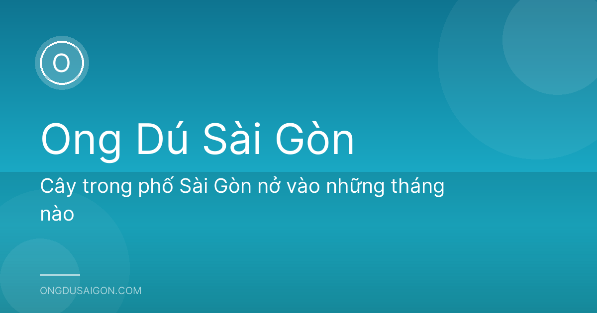 Cây trong phố Sài Gòn nở vào những tháng nào