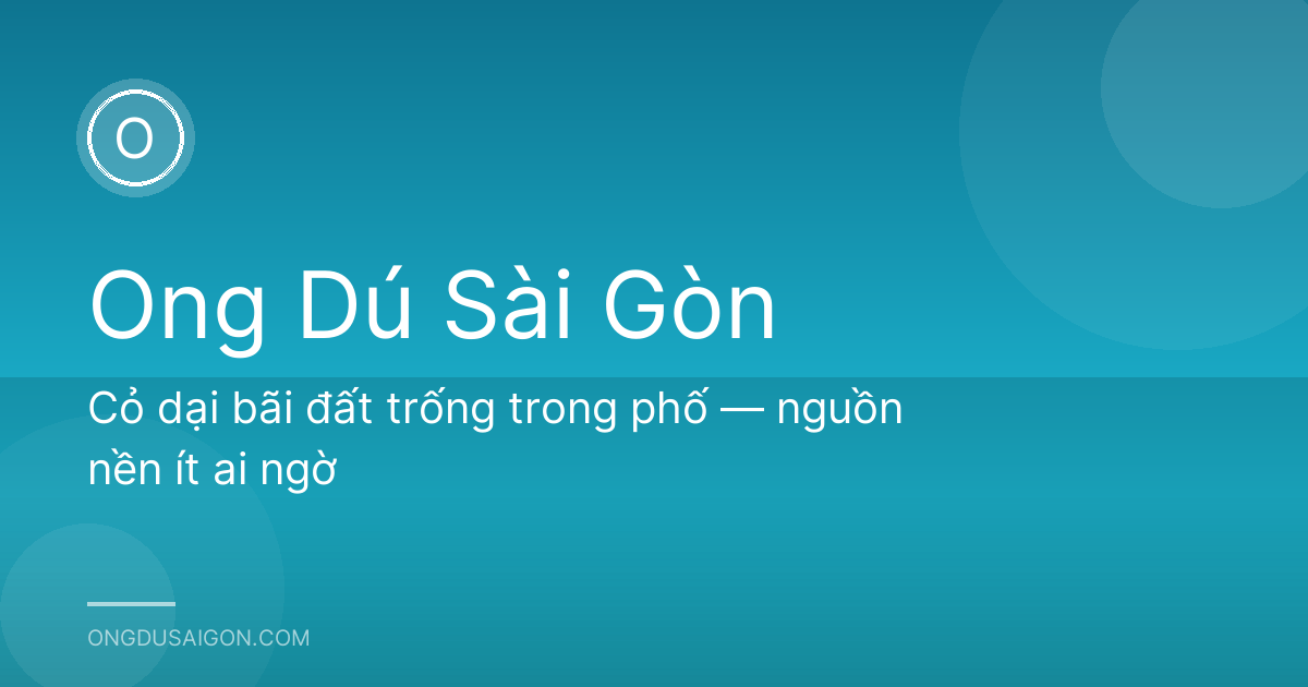 Cỏ dại bãi đất trống trong phố — nguồn nền ít ai ngờ