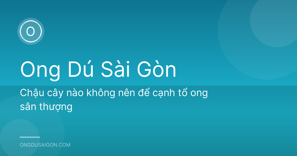 Chậu cây nào không nên để cạnh tổ ong sân thượng