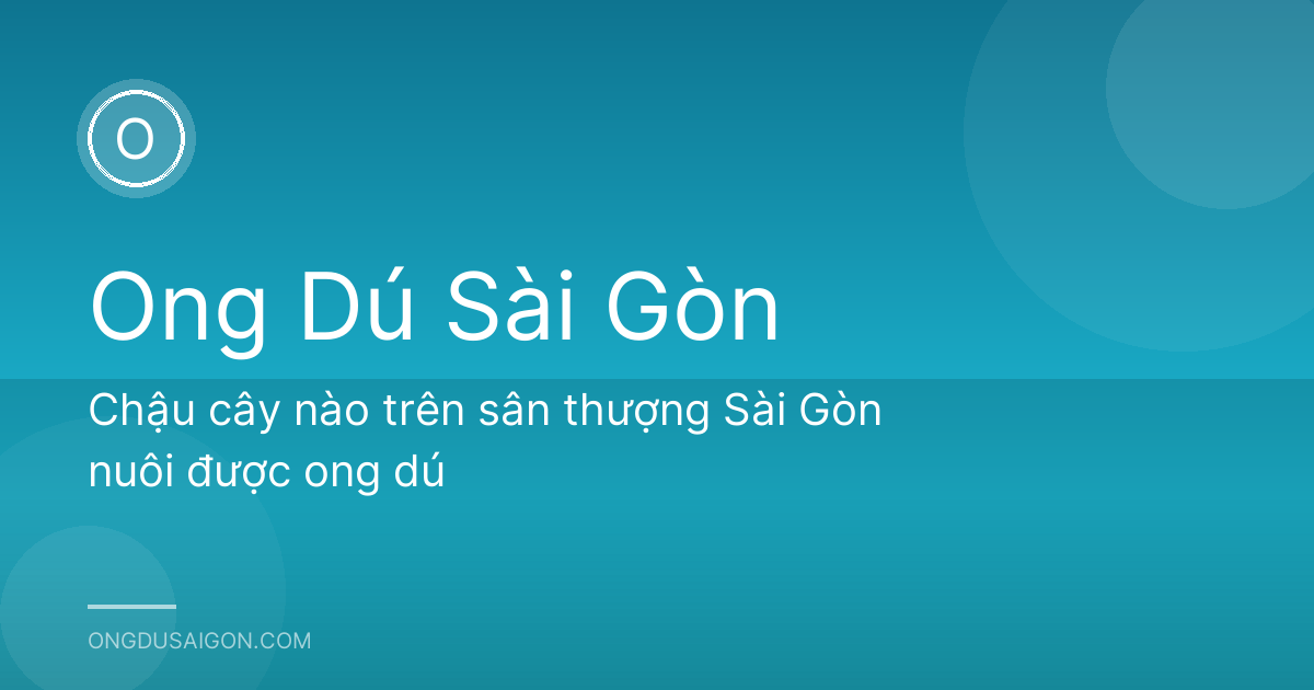 Chậu cây nào trên sân thượng Sài Gòn nuôi được ong dú