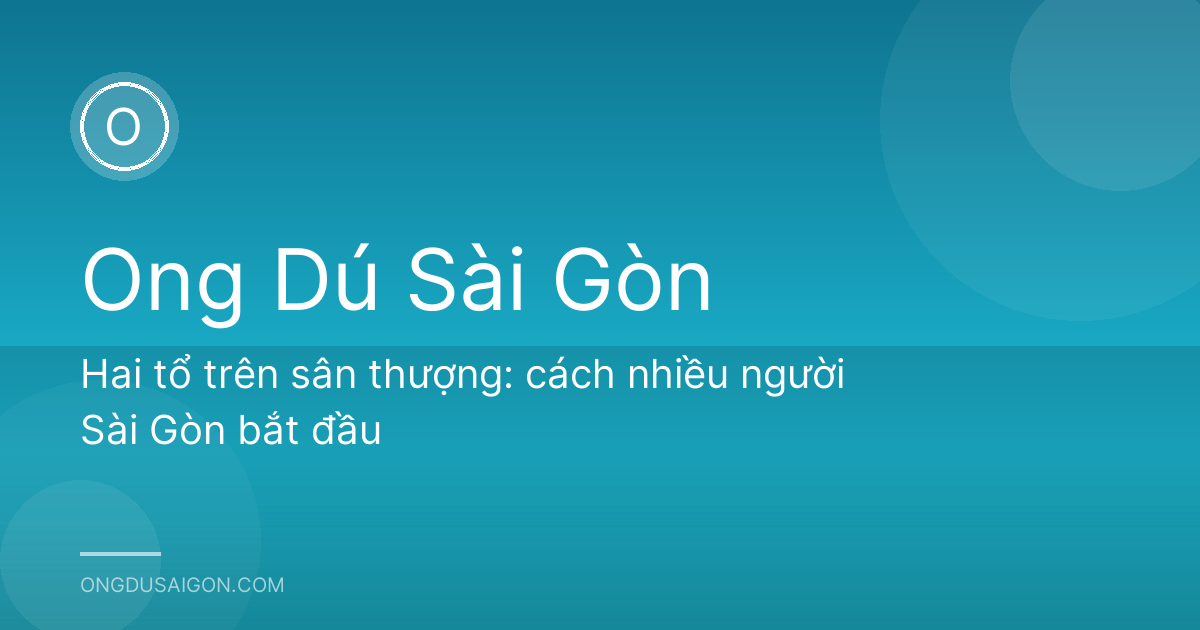 Hai tổ trên sân thượng: cách nhiều người Sài Gòn bắt đầu