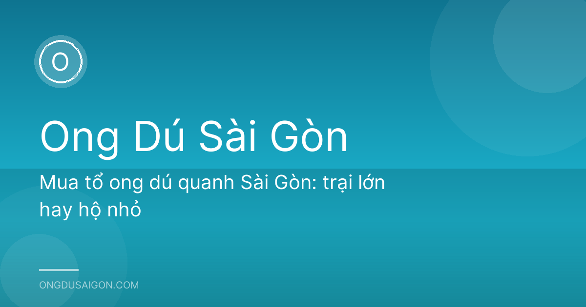 Mua tổ ong dú quanh Sài Gòn: trại lớn hay hộ nhỏ