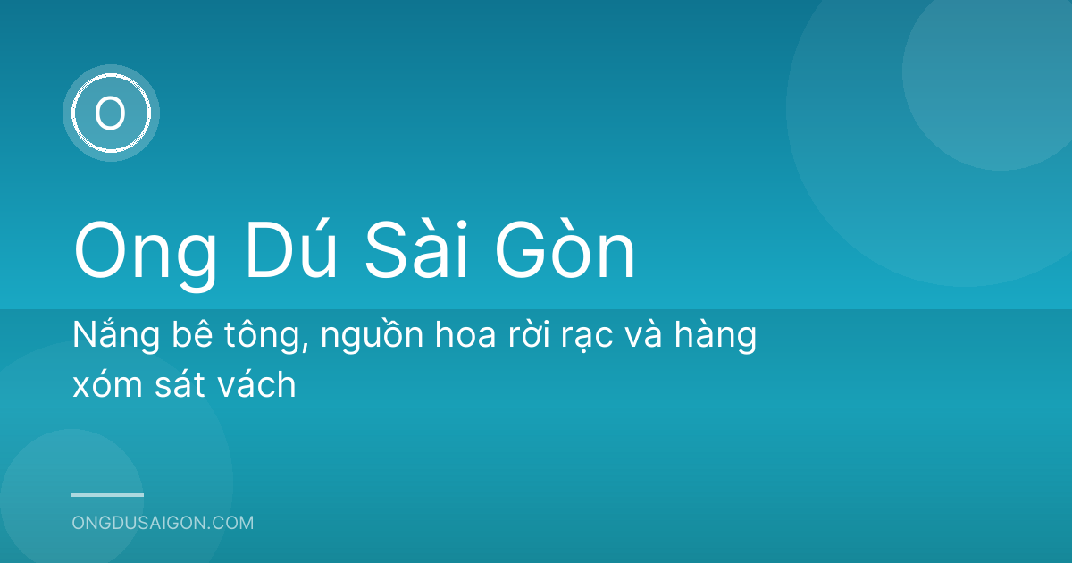 Nắng bê tông, nguồn hoa rời rạc và hàng xóm sát vách