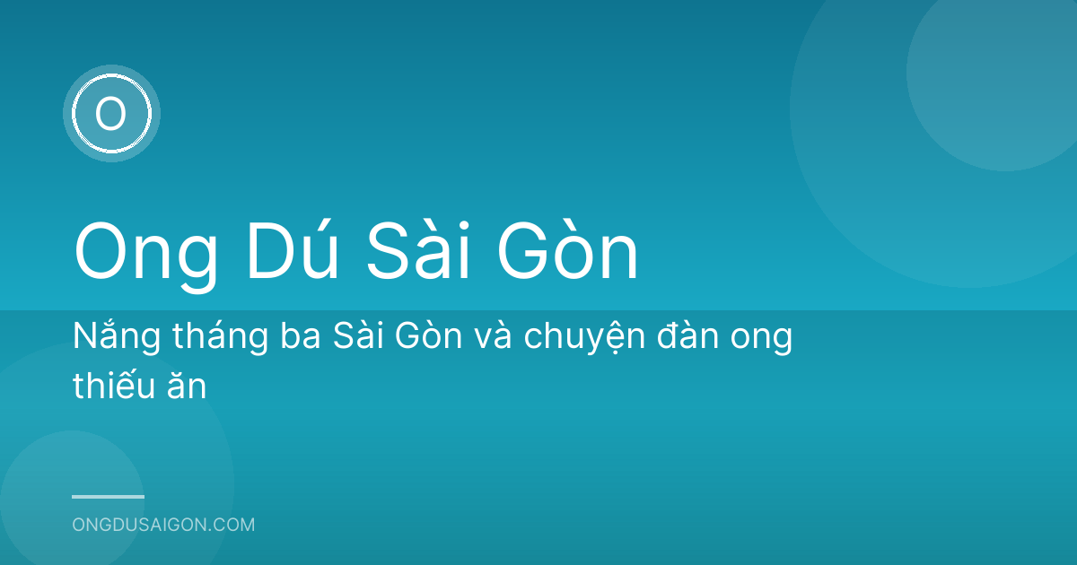 Nắng tháng ba Sài Gòn và chuyện đàn ong thiếu ăn