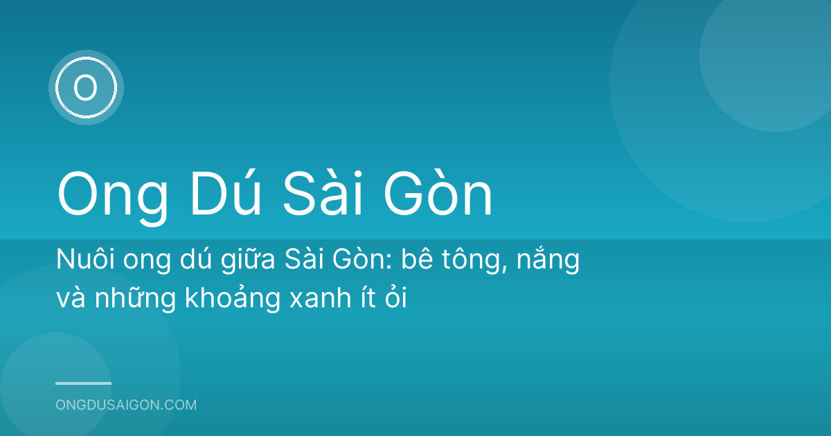 Nuôi ong dú giữa Sài Gòn: bê tông, nắng và những khoảng xanh ít ỏi