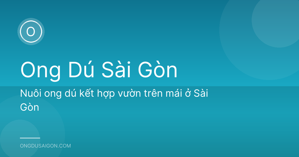 Nuôi ong dú kết hợp vườn trên mái ở Sài Gòn