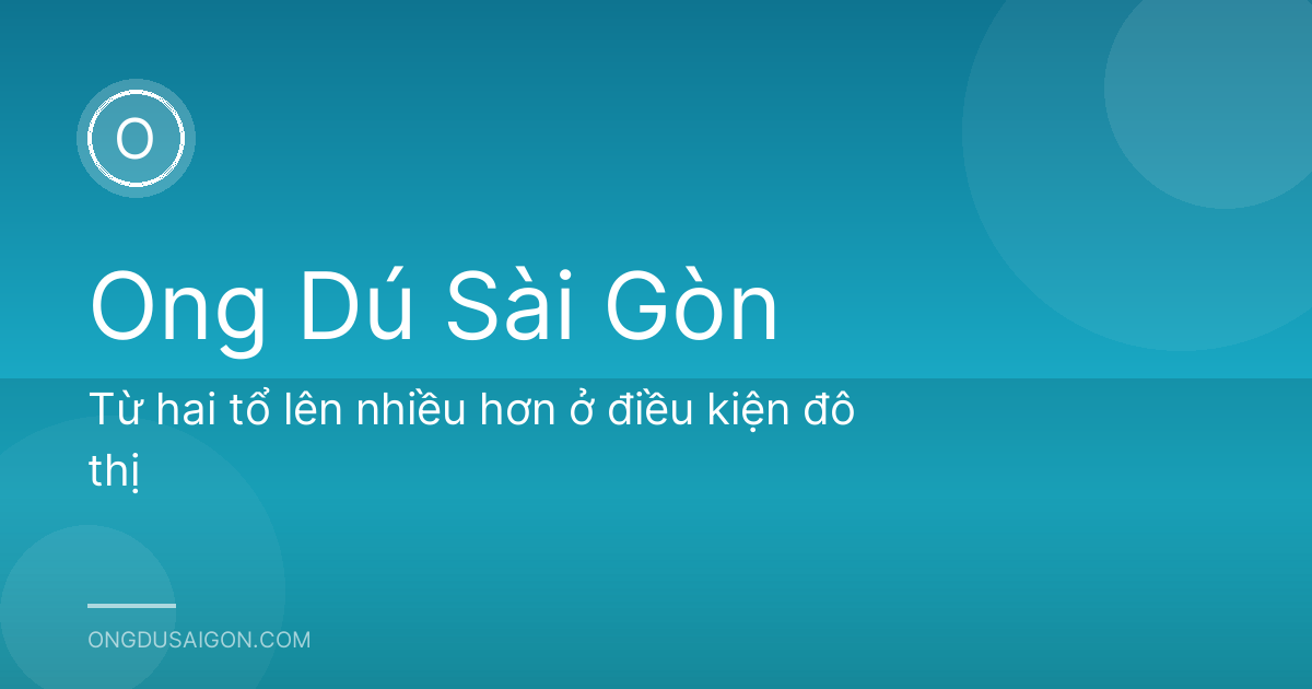 Từ hai tổ lên nhiều hơn ở điều kiện đô thị