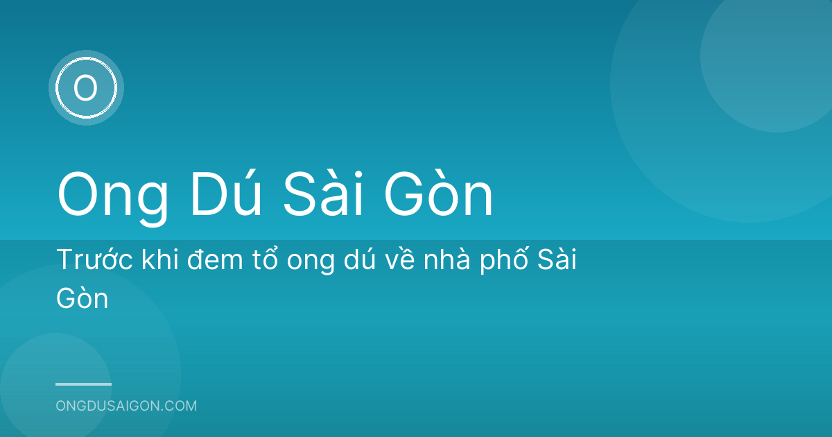 Trước khi đem tổ ong dú về nhà phố Sài Gòn
